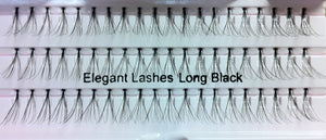 Dozen Long Black Flare Generic Lashes