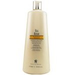 Graham Webb Silk Repair Advanced Therapy Conditioner 33.8 oz (Formerly Pure Gold Conditioner)