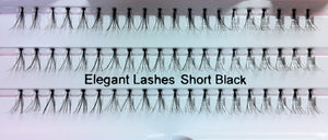 Dozen Short Black Flare Generic Lashes