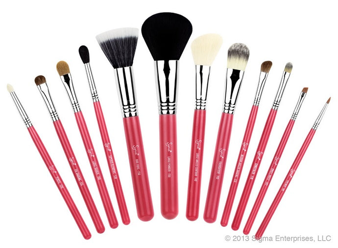 Make Me Blush Essential Kit - the brushes